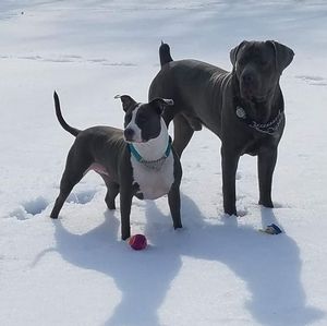 Meet your Posher, Jen